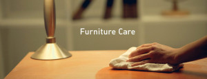 Furniture Care